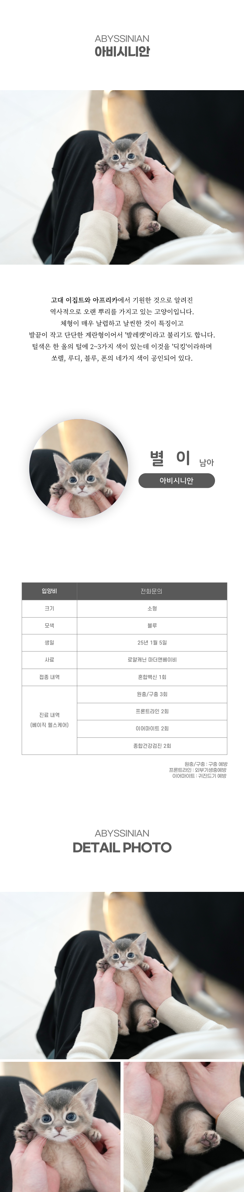 별이_상세이미지_2